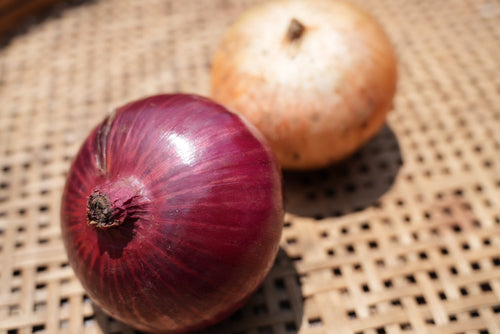 泊まれる農家の季節のやさいセット