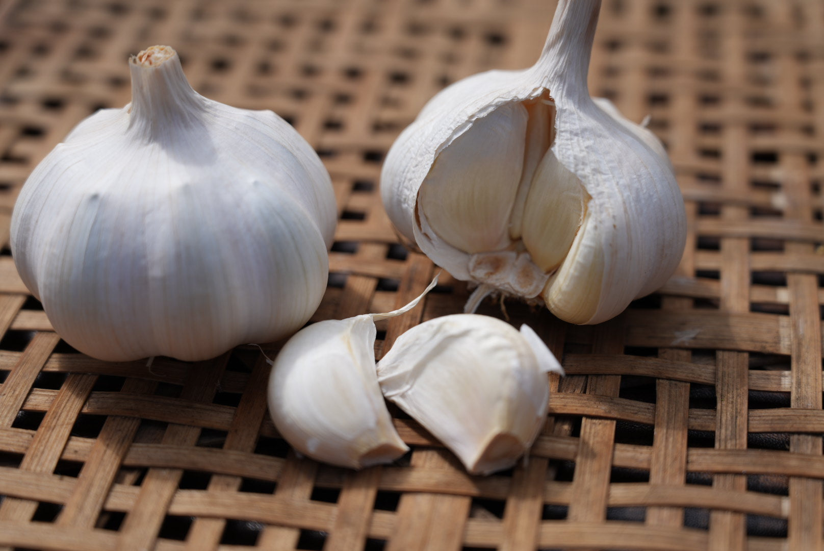 泊まれる農家の季節のやさいセット