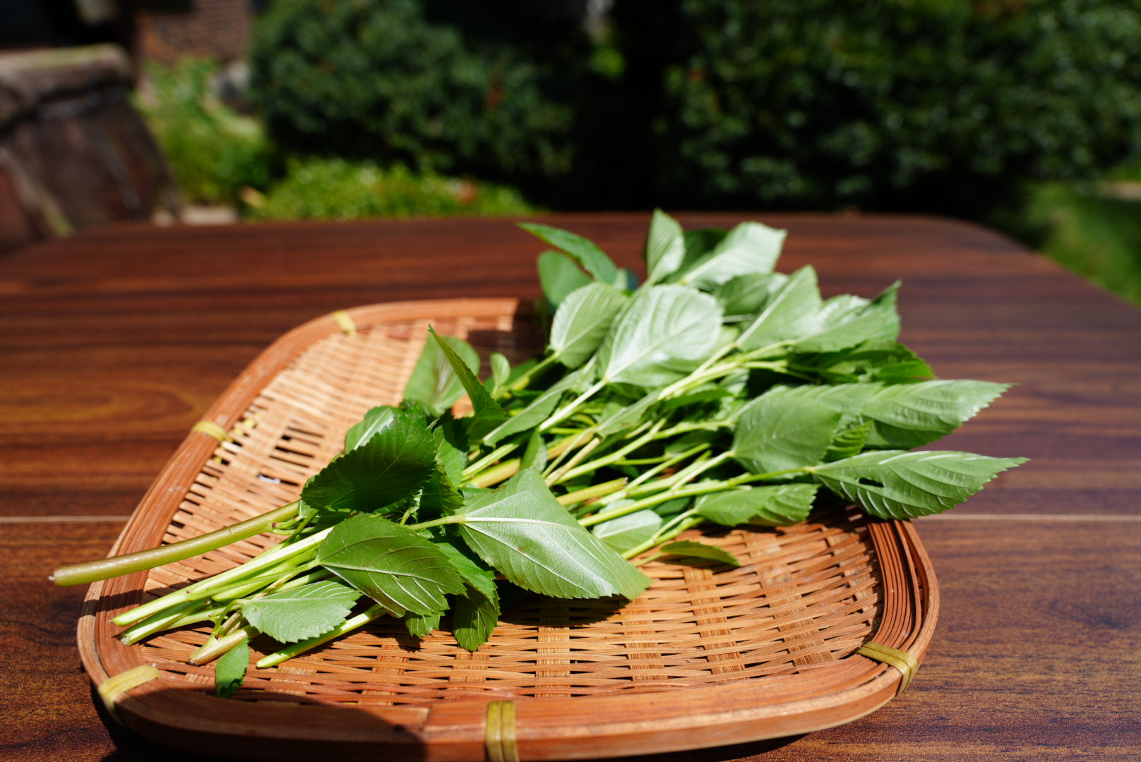 泊まれる農家の季節のやさいセット