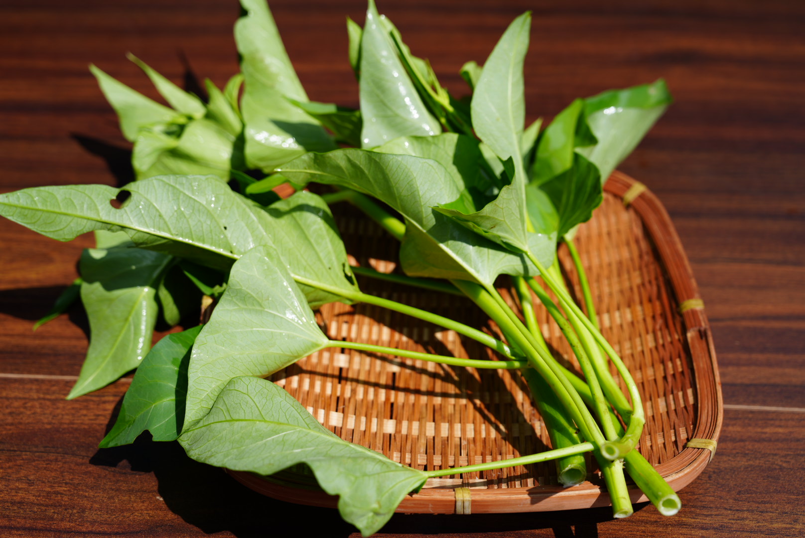 泊まれる農家の季節のやさいセット