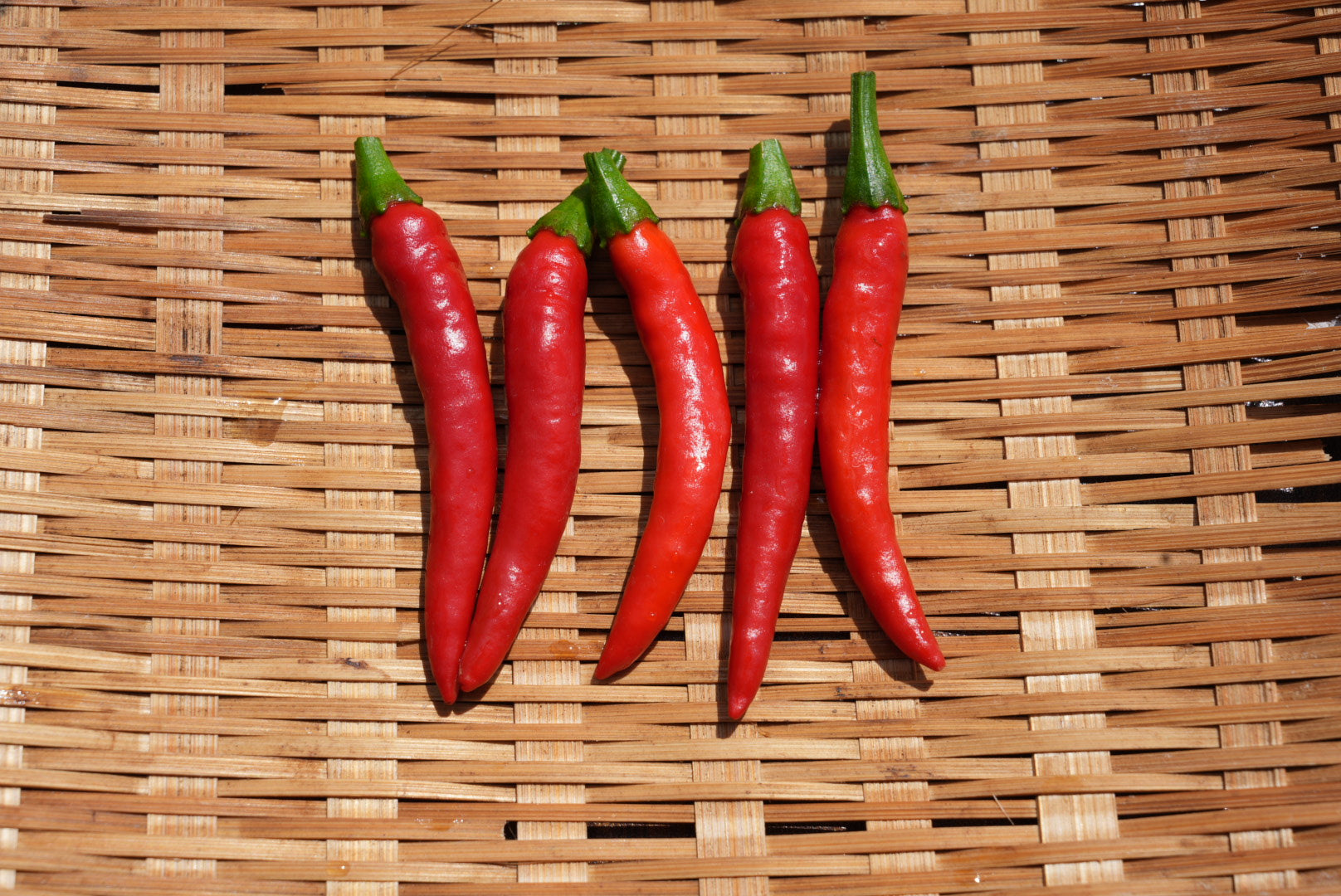 泊まれる農家の季節のやさいセット