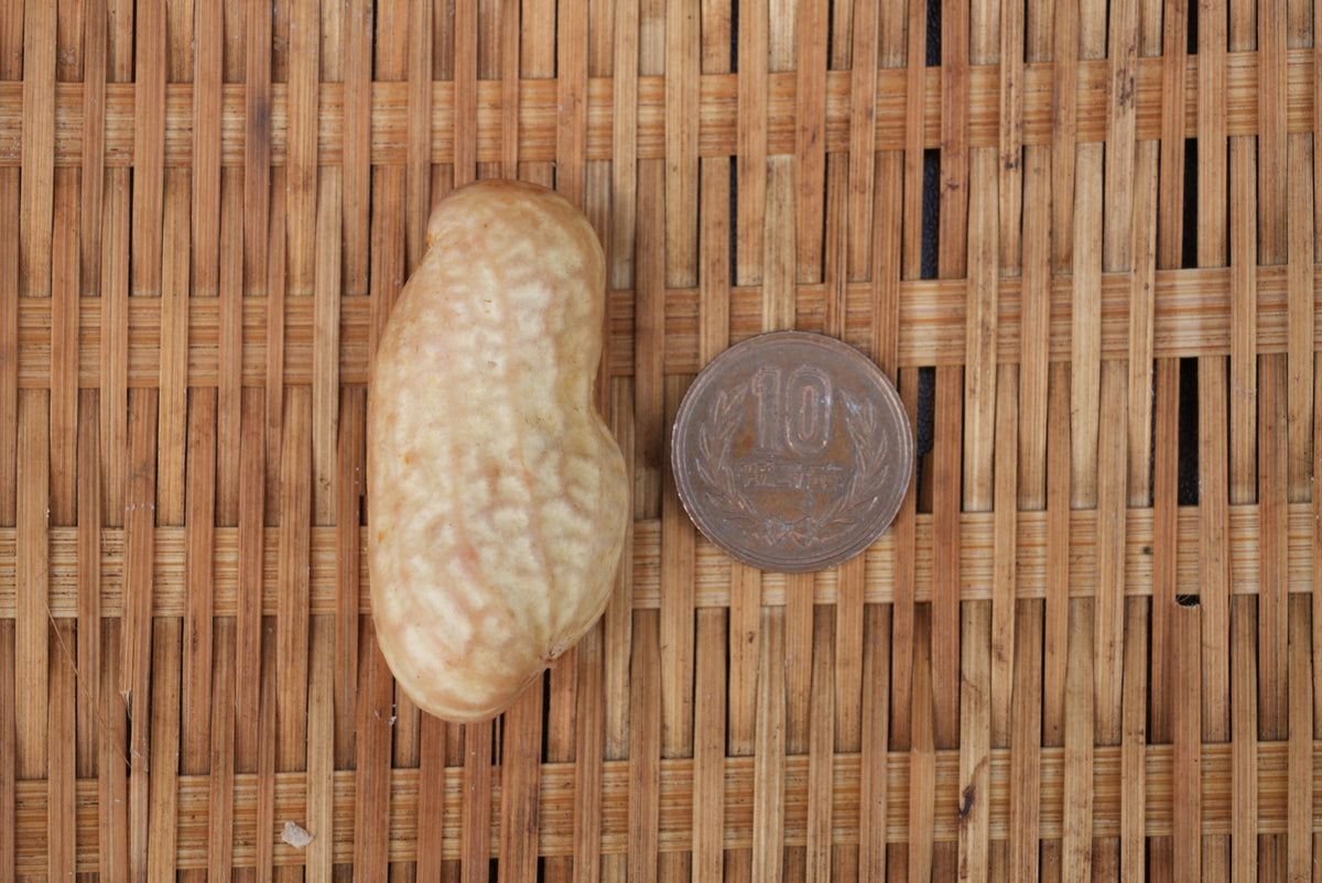 【季節限定・八街産】茹で用落花生 おおまさり