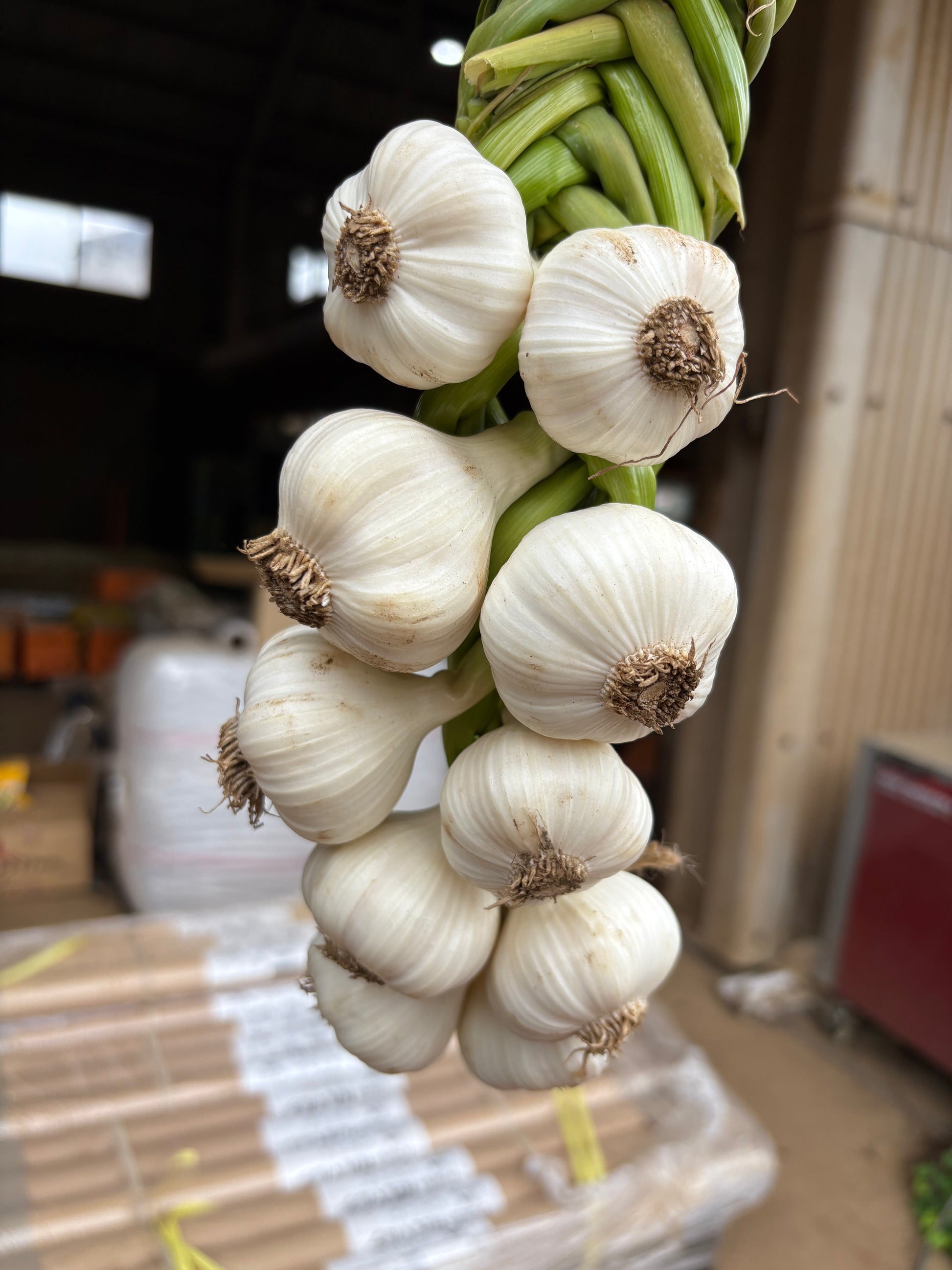 ［手編み仕上げ］米田ファームの国産ニンニク10玉束